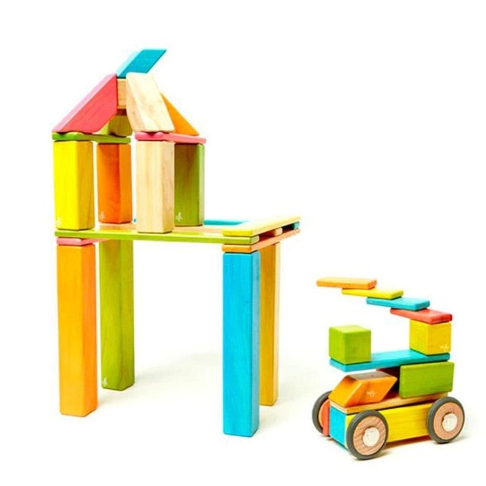 Magnetic Wooden Blocks 41 Piece Set Tints